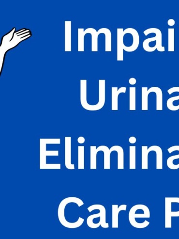 Impaired Urinary Elimination Care Plan