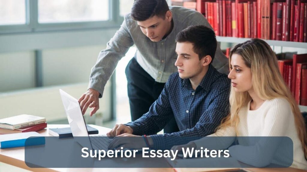 Superior Essay Writers